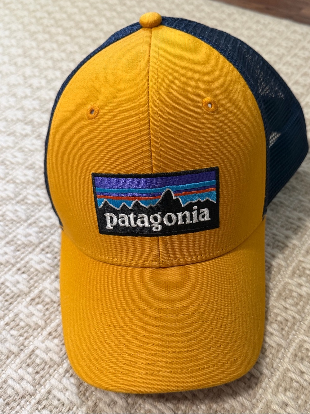 Patagonia Trucker Hat